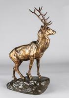 Stunning 19th Century French Bronze Sculpture of Stag, Signed J.E.Masson (5 of 10) Stunning 19th Century French Bronze Sculpture of Stag, Signed J.E.Masson (5 of 10)