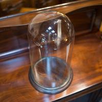 Antique Display Dome, English, Glass, Mahogany, Taxidermy, Showcase, Victorian (2 of 10) Antique Display Dome, English, Glass, Mahogany, Taxidermy, Showcase, Victorian (2 of 10)