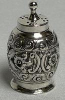 Charming Small Victorian Silver Pepperette (1 of 6)
