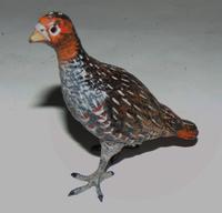 Austrian Cold Pained Bronze of Grouse (6 of 6) Austrian Cold Pained Bronze of Grouse (6 of 6)