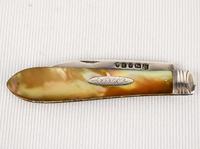 Silver Fruit Knife 1879-80 Martin Hall & Co Sheffield (2 of 4) Silver Fruit Knife 1879-80 Martin Hall & Co Sheffield (2 of 4)