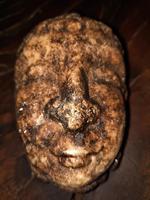 5th-12th Century Extremely Rare Early Gandharan Carved Quartz Crystal Buddhist Head (11 of 14) 5th-12th Century Extremely Rare Early Gandharan Carved Quartz Crystal Buddhist Head (11 of 14)
