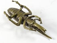 Japanese Bronze Rhinoceros Beetle (4 of 4) Japanese Bronze Rhinoceros Beetle (4 of 4)