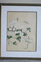 3 x Chinese Botanical Watercolours (6 of 12) 3 x Chinese Botanical Watercolours (6 of 12)