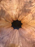 Antique Mahogany Drum Table (4 of 9) Antique Mahogany Drum Table (4 of 9)