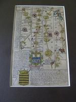 18thC Road Map Dorset " Dunkton - Weymouth" c1720 Britannia Depicta (5 of 5) 18thC Road Map Dorset " Dunkton - Weymouth" c1720 Britannia Depicta (5 of 5)