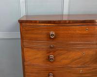 George IV Large Mahogany Bow Chest of Drawers (19 of 20) George IV Large Mahogany Bow Chest of Drawers (19 of 20)