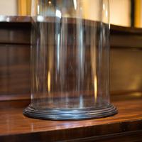 Antique Display Dome, English, Glass, Mahogany, Taxidermy, Showcase, Victorian (5 of 10) Antique Display Dome, English, Glass, Mahogany, Taxidermy, Showcase, Victorian (5 of 10)