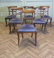 Set of 6 19th Century Regency Dining Chairs