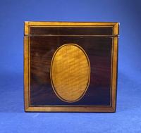 18th Century Kingwood Twin Tea Caddy With Inlay (4 of 16) 18th Century Kingwood Twin Tea Caddy With Inlay (4 of 16)
