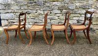 Set of 4 Regency Rosewood Sabre Leg Dining Chairs (7 of 15) Set of 4 Regency Rosewood Sabre Leg Dining Chairs (7 of 15)