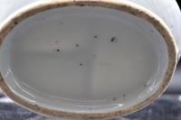 Chinese Porcelain Famille Rose Divided Dish – 18th Century (6 of 6) Chinese Porcelain Famille Rose Divided Dish – 18th Century (6 of 6)