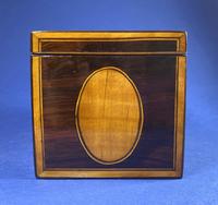 18th Century Kingwood Twin Tea Caddy With Inlay (7 of 16) 18th Century Kingwood Twin Tea Caddy With Inlay (7 of 16)