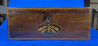 George III Solid Mahogany Box With Wonderful Inlaid Panels (16 of 18) George III Solid Mahogany Box With Wonderful Inlaid Panels (16 of 18)