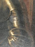 bdd49b1ce31346379bfb0754817afcbd_1787166713618.jpeg