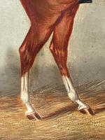 Victorian Oil Painting Chestnut Horse Portrait In Stable Signed Edwin Loder (25 of 42) Victorian Oil Painting Chestnut Horse Portrait In Stable Signed Edwin Loder (25 of 42)