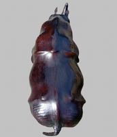 be5c2ee2517e4b25ae25d67669fb5ec4_1790928945799.jpeg