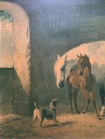 Aft: Emil Volkers Beautiful Vintage Framed Equestrian Print On Board (3 of 12) Aft: Emil Volkers Beautiful Vintage Framed Equestrian Print On Board (3 of 12)