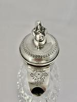 Silver & Crystalclaret Jug. Sheffield 1894. (7 of 10) Silver & Crystalclaret Jug. Sheffield 1894. (7 of 10)