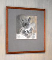 Characterful pastel drawing of a cat (4 of 4) Characterful pastel drawing of a cat (4 of 4)
