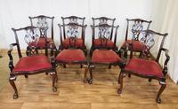 Set of eight Oversized Dining Chairs Set of eight Oversized Dining Chairs