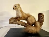 Item Additional Image