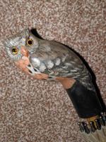 Vintage Sage Green Nylon Umbrella by LAWTEX With Hand Carved Wooden Owl Handle (2 of 12) Vintage Sage Green Nylon Umbrella by LAWTEX With Hand Carved Wooden Owl Handle (2 of 12)