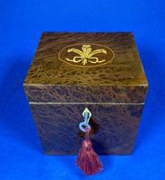 Late Victorian Burr Yew Single Tea Caddy (30 of 32) Late Victorian Burr Yew Single Tea Caddy (30 of 32)
