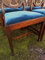 Set of 6 Hepplewhite Style Mahogany Dining Chairs (5 of 8) Set of 6 Hepplewhite Style Mahogany Dining Chairs (5 of 8)