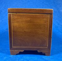 Georgian Mahogany Fan Inlaid Tea Caddy (16 of 16) Georgian Mahogany Fan Inlaid Tea Caddy (16 of 16)
