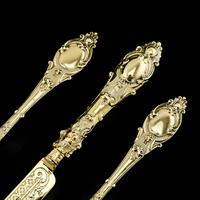 Antique Victorian Solid Silver Gilt Traveling / Christening Cutlery Set - Martin Hall & Co. 1872 (9 of 22) Antique Victorian Solid Silver Gilt Traveling / Christening Cutlery Set - Martin Hall & Co. 1872 (9 of 22)