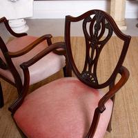 6 Dining Chairs Hepplewhite Mahogany Leather 19th Century (11 of 15) 6 Dining Chairs Hepplewhite Mahogany Leather 19th Century (11 of 15)