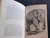 1880 Lion Hunting & Sporting Life in Algeria by Jules Gerard (4 of 4) 1880 Lion Hunting & Sporting Life in Algeria by Jules Gerard (4 of 4)