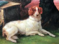 19th Century Oil Painting Sporting "Game Dogs" Signed Robert Cleminson (3 of 48) 19th Century Oil Painting Sporting "Game Dogs" Signed Robert Cleminson (3 of 48)