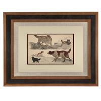 Hand Coloured 'Working Dog' Lithograph. Goldsmith 1875 (4 of 4) Hand Coloured 'Working Dog' Lithograph. Goldsmith 1875 (4 of 4)