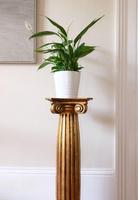 Italian Florentine Giltwood Pedestal Stand (2 of 8) Italian Florentine Giltwood Pedestal Stand (2 of 8)