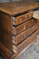 William & Mary Walnut Chest of Drawers (9 of 9) William & Mary Walnut Chest of Drawers (9 of 9)