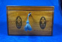 George III Satinwood Twin Tea Caddy with Prince of Wales Inlay (10 of 15) George III Satinwood Twin Tea Caddy with Prince of Wales Inlay (10 of 15)