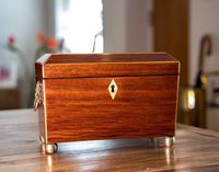 Stunning Partridge Wood Caddy 1820 (8 of 8) Stunning Partridge Wood Caddy 1820 (8 of 8)