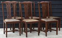 Good Quality Set of Eight Georgian Style Mahogany Dining Chairs c.1910 (2 of 12) Good Quality Set of Eight Georgian Style Mahogany Dining Chairs c.1910 (2 of 12)