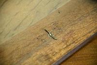 Antique 18th Century Oak Chest of Drawers (4 of 10) Antique 18th Century Oak Chest of Drawers (4 of 10)