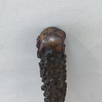 German Gentleman’s Walking Stick / Sword Stick - Rare Item (8 of 16) German Gentleman’s Walking Stick / Sword Stick - Rare Item (8 of 16)