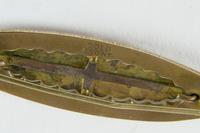 WW1 Gold Sweetheart Brooch (3 of 3) WW1 Gold Sweetheart Brooch (3 of 3)