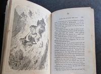 1880 Lion Hunting & Sporting Life in Algeria by Jules Gerard (3 of 4) 1880 Lion Hunting & Sporting Life in Algeria by Jules Gerard (3 of 4)