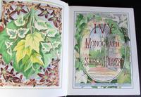 1872 The Ivy A Monograph Comprising The History Etc Of The Plant By Shirley Hibberd 1st Edition (5 of 6) 1872 The Ivy A Monograph Comprising The History Etc Of The Plant By Shirley Hibberd 1st Edition (5 of 6)