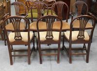 1900's Mahogany Set 8 Hoop Dining chairs with Pop out Seats in Gold (3 of 3) 1900's Mahogany Set 8 Hoop Dining chairs with Pop out Seats in Gold (3 of 3)