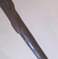 19th Century Carved Walking Stick with Greyhound Head Handle (8 of 9) 19th Century Carved Walking Stick with Greyhound Head Handle (8 of 9)