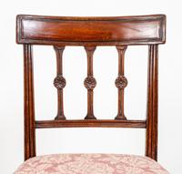 Pretty Pair of Mahogany Regency Side Chairs (2 of 6) Pretty Pair of Mahogany Regency Side Chairs (2 of 6)