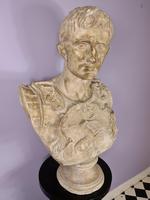 Large Plaster Bust of Augustus (3 of 7) Large Plaster Bust of Augustus (3 of 7)