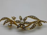 15ct Gold Seed Pearl Brooch (3 of 7) 15ct Gold Seed Pearl Brooch (3 of 7)